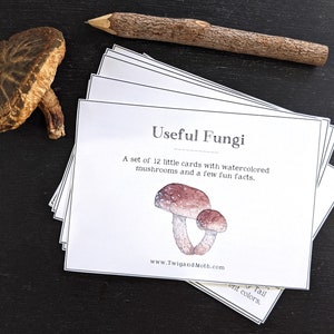 Tarjetas útiles de aprendizaje sobre hongos: digitales, Montessori, educación en el hogar, estudio de la naturaleza de Charlotte Mason, hongos