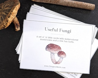 Useful Fungi Learning Cards - Digital, Montessori, Homeschool, Charlotte Mason Nature Study, Mushrooms