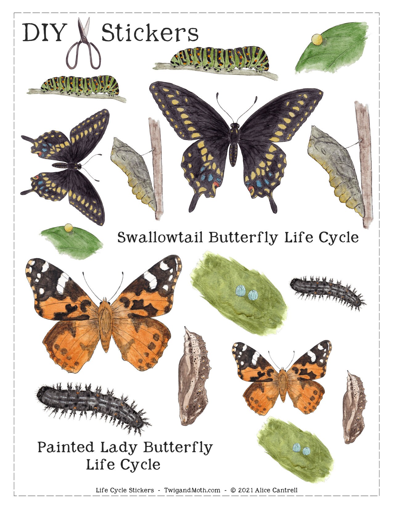 Printable Life Cycle Stickers 40 Digital DIY Printable Etsy
