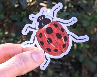 Ladybug / Ladybird ~ Waterproof and Weatherproof Small Gifts for Water Bottle, Laptop, Tablet, Car or Canoe