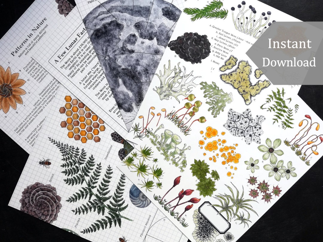 Printable Notebook Covers - DIGITAL - PDF - for 8.5 X 11 and A4 Size ...