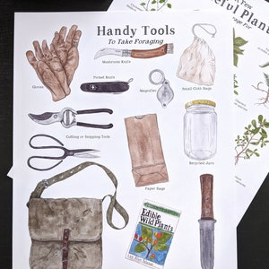 K&ouml;nnte beinhalten: Eine Aquarellillustration eines Leitfadens zum Sammeln von Wildpflanzen. Der Leitfaden enth&auml;lt eine Liste von Werkzeugen, die zum Sammeln mitgenommen werden sollten, wie z. B. Handschuhe, ein Pilzmesser, ein Taschenmesser, Schneid- oder Zupfwerkzeuge, eine Lupe, kleine Stoffbeutel, recycelte Gl&auml;ser, Papiert&uuml;ten, eine Sammeltasche und ein Werkzeug zum Ausgraben von Wurzeln. Der Leitfaden enth&auml;lt auch eine Liste von essbaren Wildpflanzen.