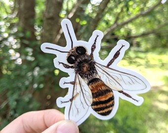 Honey Bee Sticker ~ Waterproof and Weatherproof Small Gifts for Water Bottle, Laptop, Tablet, Car or Canoe