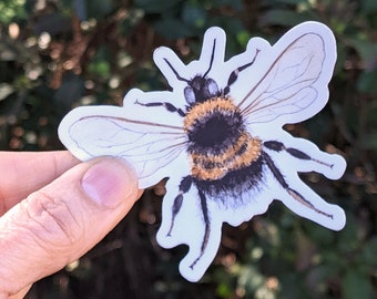 Hairy-footed Flower Bee ~ Waterproof and Weatherproof Small Gifts for Water Bottle, Laptop, Tablet, Car or Canoe