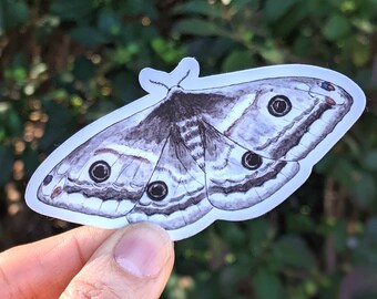 Emperor Moth Sticker ~ Waterproof and Weatherproof Small Gifts for Water Bottle, Laptop, Tablet, Car or Canoe