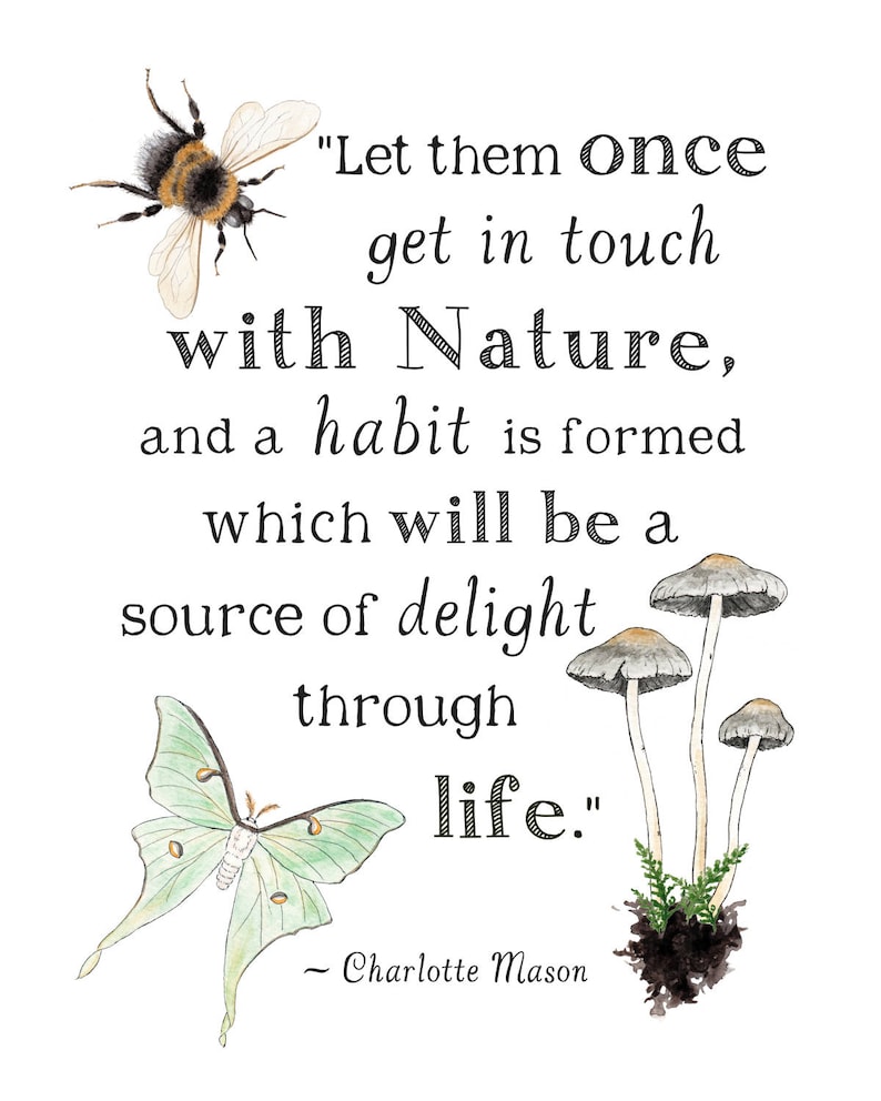 May include: A watercolor illustration of a bumblebee, a green moth, and mushrooms with the quote "Let them once get in touch with Nature, and a habit is formed which will be a source of delight through life." - Charlotte Mason.