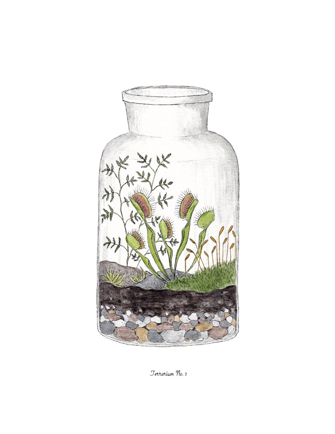 Terrarium Prints Digital Printable PDF 8.5 X - Etsy