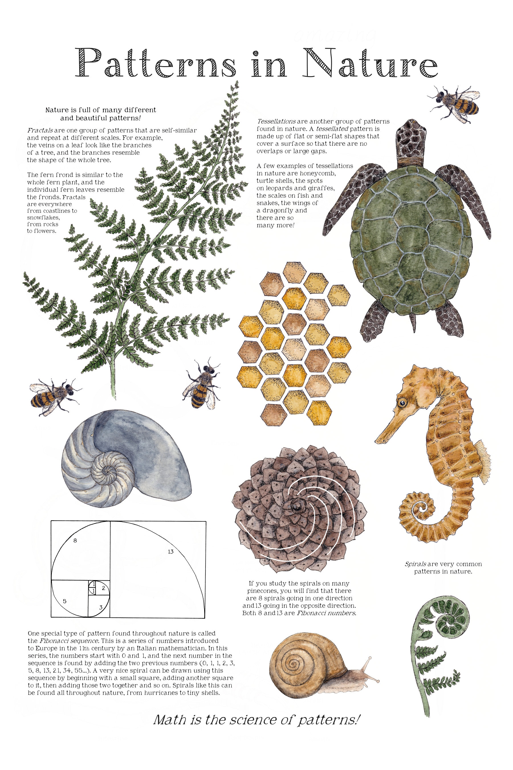 The Science Behind Nature's Patterns, Science