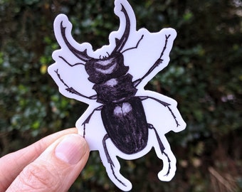 Stag Beetle Waterproof Sticker