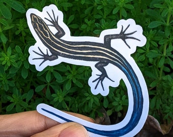 Blue-tailed / Five-lined Skink Sticker ~ Waterproof and Weatherproof Small Gifts for Water Bottle, Laptop, Tablet, Car or Canoe