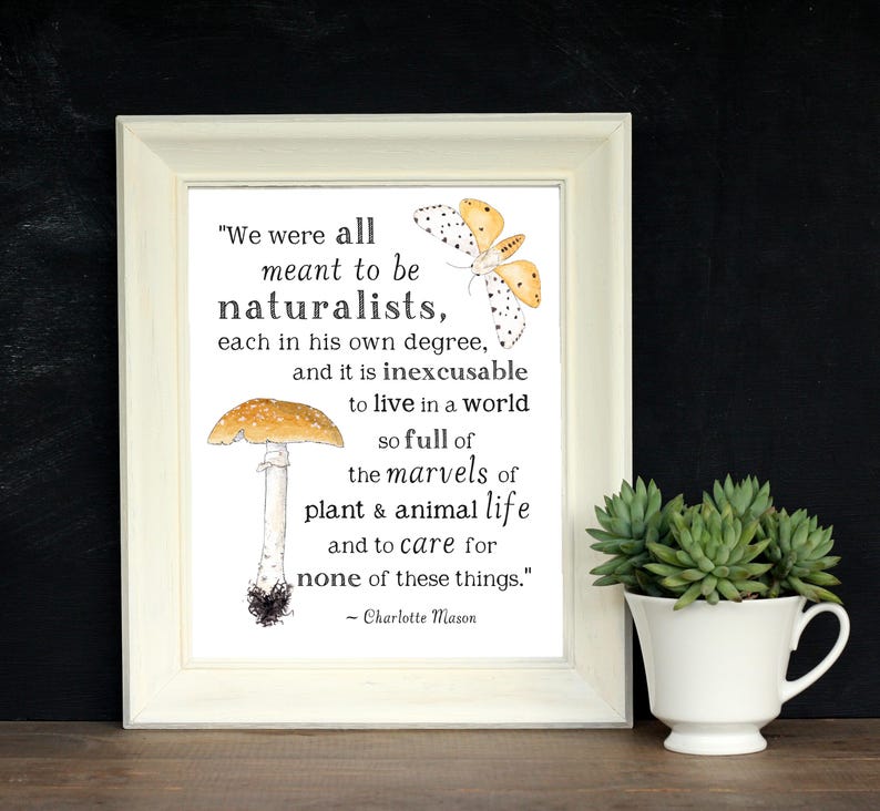 Stampabile sulla natura - Meant to be Naturalists - A4 e 8x10 - Citazione di Charlotte Mason, Wild + Free, Stampabile motivazionale, Arte murale per l'aula scolastica immagine 4