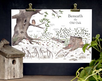 Nature Art Poster - Beneath the Old Oak - Nature Details - School Room Wall Art - 12 x 18 Poster - Montessori, Educational, Nature Study