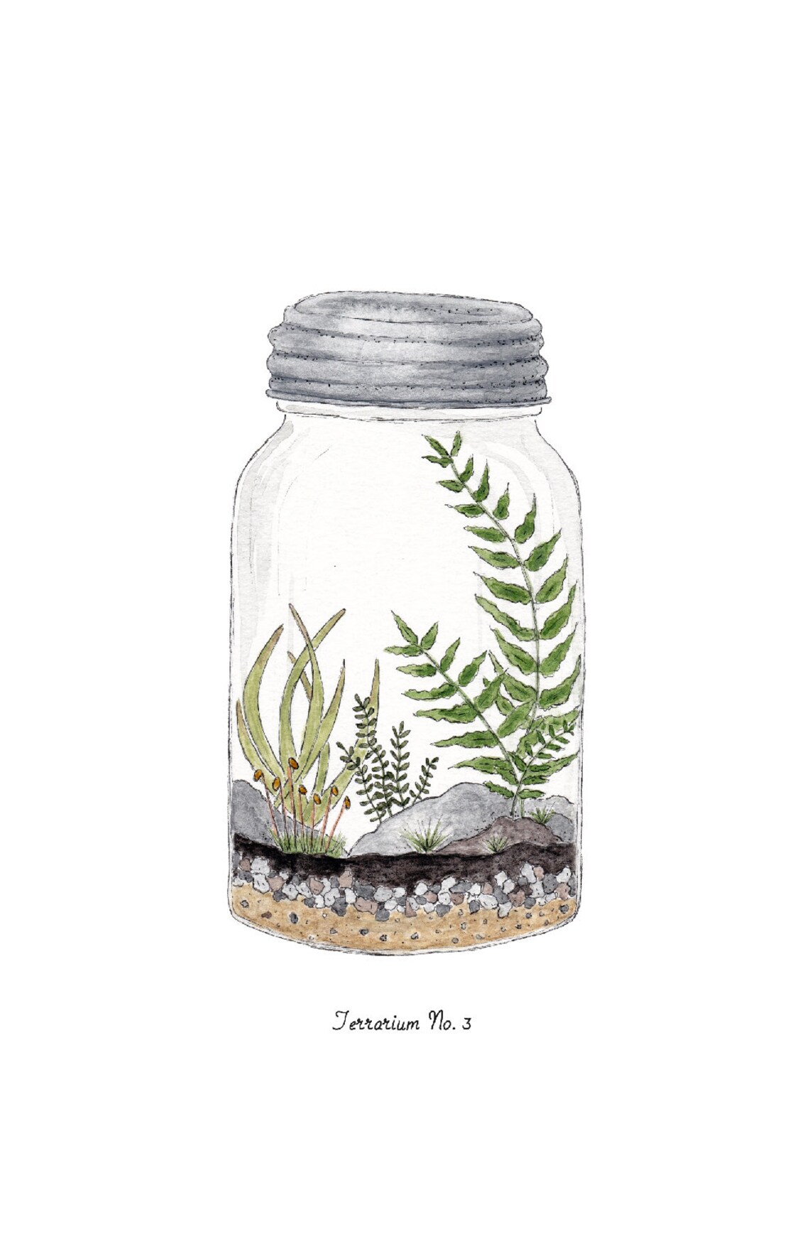 Terrarium Prints Digital Printable PDF 8.5 X - Etsy