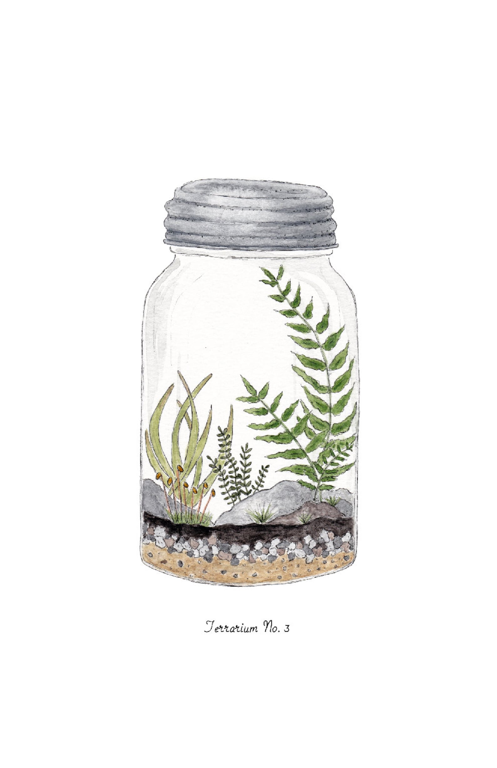 Terrarium Prints Digital Printable PDF 8.5 X - Etsy