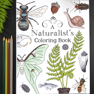 DIGITAL PDF Version - A Naturalist's Coloring Book - 8.5 x 11 Size File