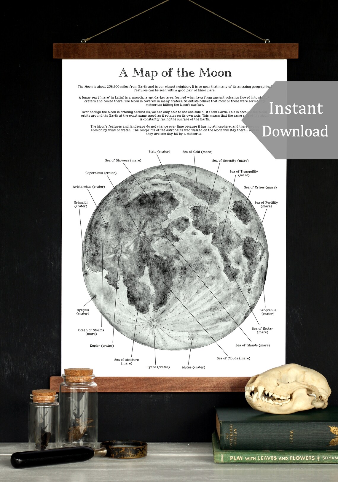 A Map of the Moon Printable &amp; Poster 12 x 18 A4 8.5 x 11 | Etsy