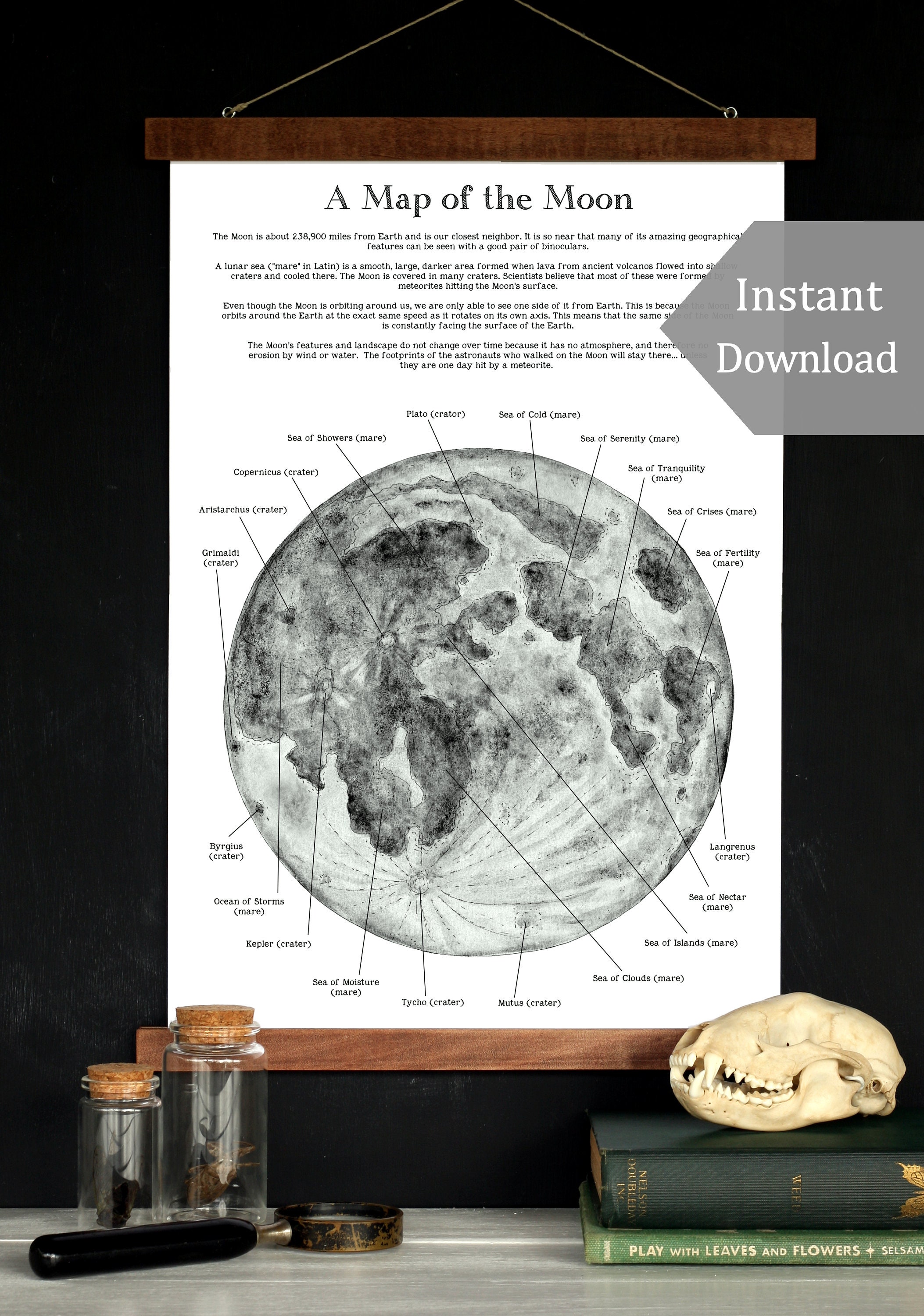 A Map of the Moon Printable &amp; Poster 12 x 18 A4 8.5 x 11 | Etsy