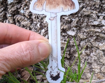 Tan Mushrooms Sticker ~ Waterproof and Weatherproof Small Gifts for Water Bottle, Laptop, Tablet, Car or Kayak