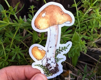 Yellow Mushroom Sticker ~ Waterproof and Weatherproof Small Gifts for Water Bottle, Laptop, Tablet, Car or Canoe