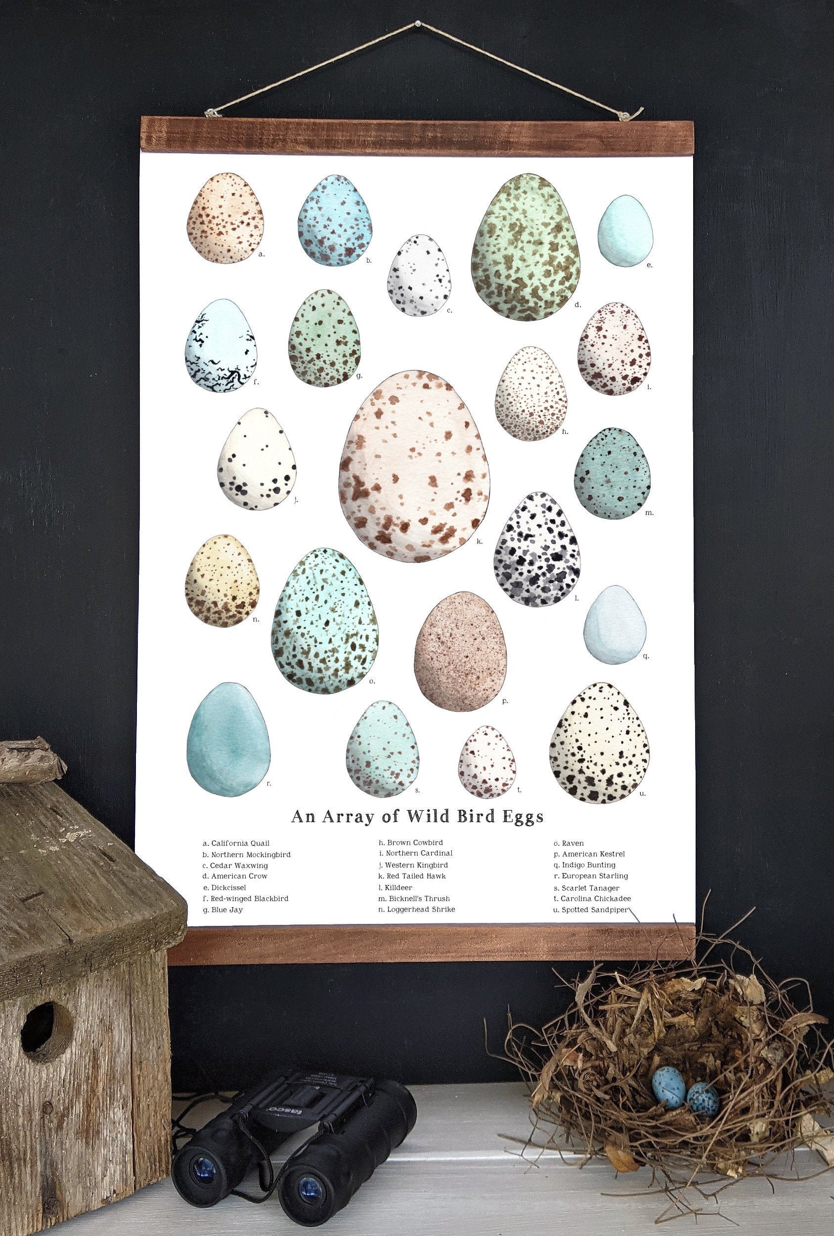 IlWooden Eggs Feature Detailed Drawings Inspired by Nature and Fantasy