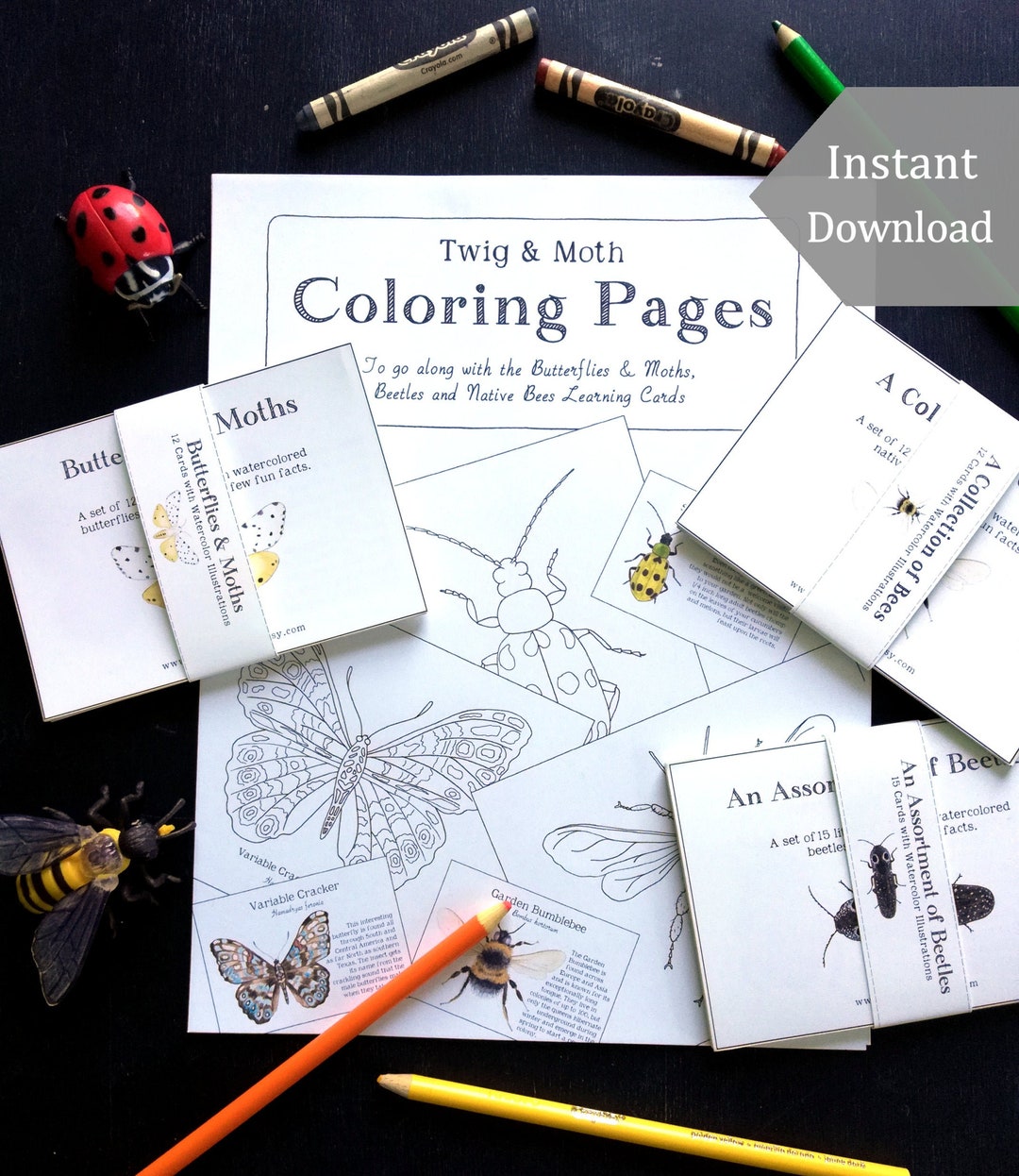 Bundle of Coloring Pages + Learning Cards - Digital, Printable ...
