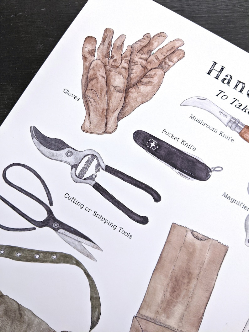K&ouml;nnte beinhalten: Eine Aquarell-Illustration eines Sets an Werkzeugen f&uuml;r die Pilzsuche. Die Werkzeuge umfassen Handschuhe, ein Taschenmesser, ein Pilzmesser, eine Schere zum Schneiden, eine Lupe und eine braune Papiert&uuml;te. Der Text "Han to Take" ist in einer dekorativen Schrift oben im Bild geschrieben.