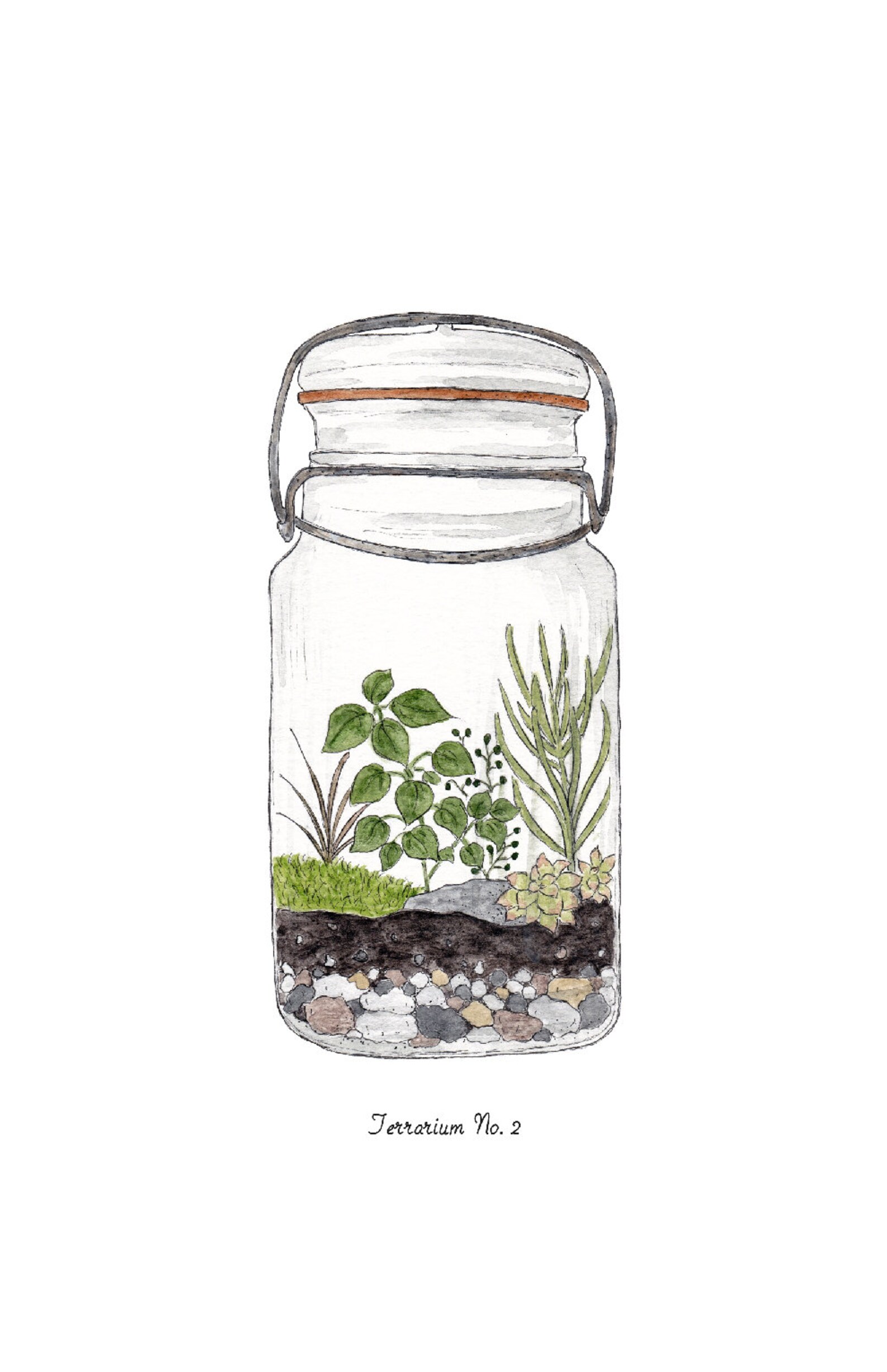 Terrarium Prints Digital Printable PDF 8.5 X - Etsy