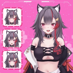Custom PNGTuber Character: Live2D Model Design