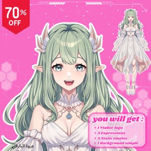 Custom Vtuber Model for Commercial Use | Vtuber model | live2d Vtuber commission | Vtuber assets | vtuber design |  Pngtuber | Anime