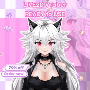 Live2D Vtuber Model Rigged for VTube Studio - Black Cat Girl Anime Avatar Ready Use