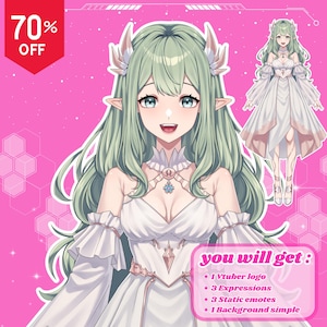 Custom Vtuber Model for Commercial Use | Vtuber model | live2d Vtuber commission | Vtuber assets | vtuber design |  Pngtuber | Anime