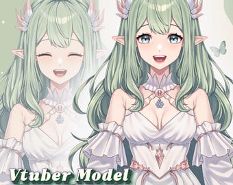 Live2D VTuber-modelcommissie | Aangepaste anime VTuber-personageontwerp en rigging | VTube Studio Ready-avatar