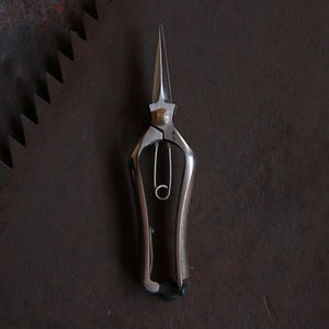 Japanese garden snips walnut Bild 10