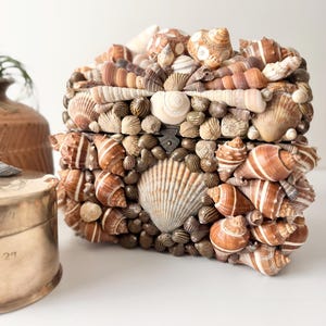 May include: A rectangular box completely covered in a dense mosaic of various seashells in shades of brown, tan, and cream. The exterior features a central large fan-shaped shell surrounded by smaller spiral and conical shells, with a dark metal latch.