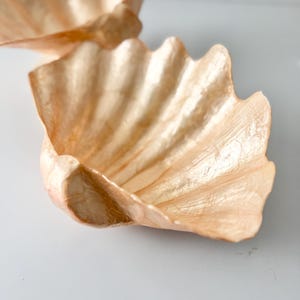 May include: Two decorative bowls shaped like open clam shells with a shimmering, metallic light gold finish. The bowls feature a textured, ribbed surface that mimics the natural ridges of a seashell, with a glossy, reflective appearance.