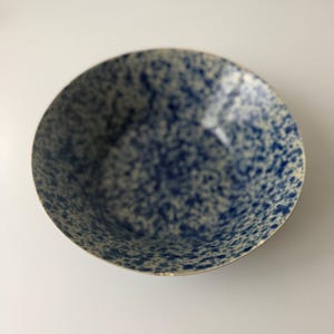 May include: A round ceramic bowl with a speckled blue and white pattern. The bowl has a slightly raised rim and a smooth interior. The blue speckles are randomly distributed across the surface.