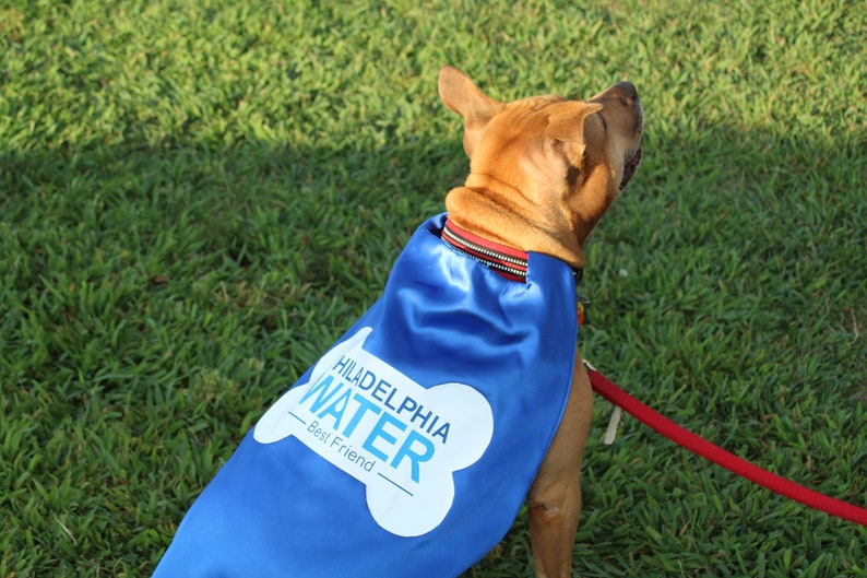 Dog Cape Superhero Cape for Dogs Capes for Dogs Super Etsy