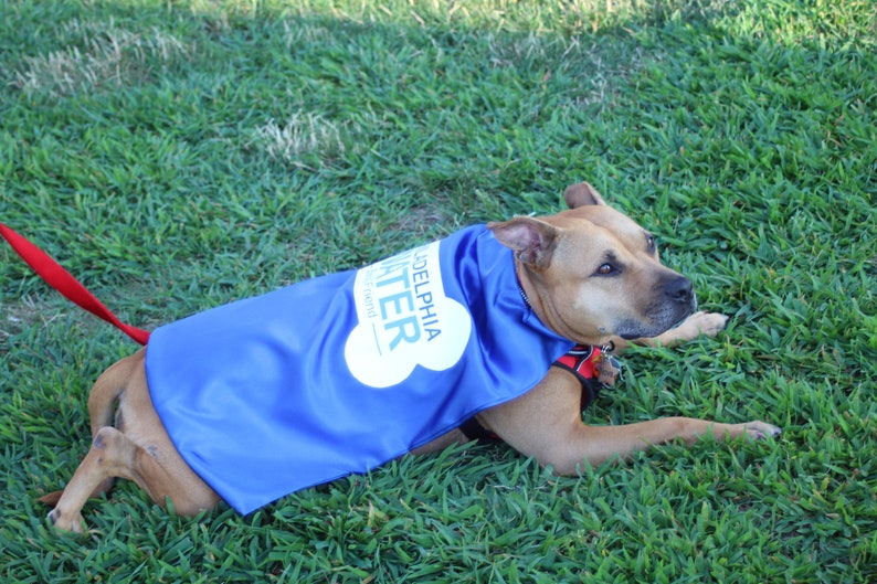 Dog Cape Superhero Cape for Dogs Capes for Dogs Super Etsy