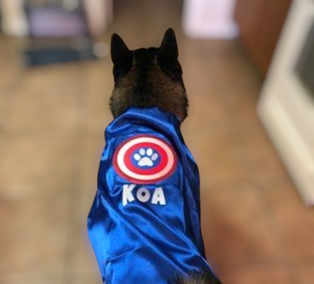Superhero Dog Coat 