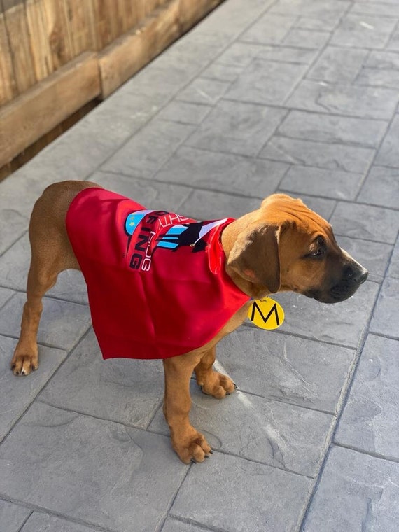Dog Cape - Superhero Cape for Dogs - Capes for Dogs - Super Dog Cape - Dog Costume - Halloween Costume for Dogs - Dog Coat - Dog Clothes Il_570xn