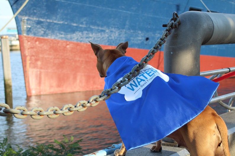 Dog Cape Superhero Cape for Dogs Capes for Dogs Super Etsy