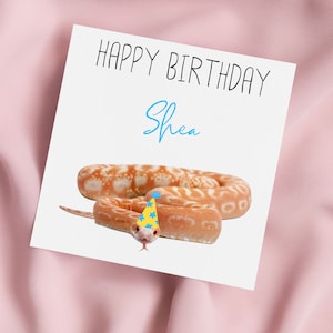Carte d'anniversaire avec serpent des blés et chapeau de fête, carte de voeux serpent, carte serpent, anniversaire spécial, carte personnalisée
