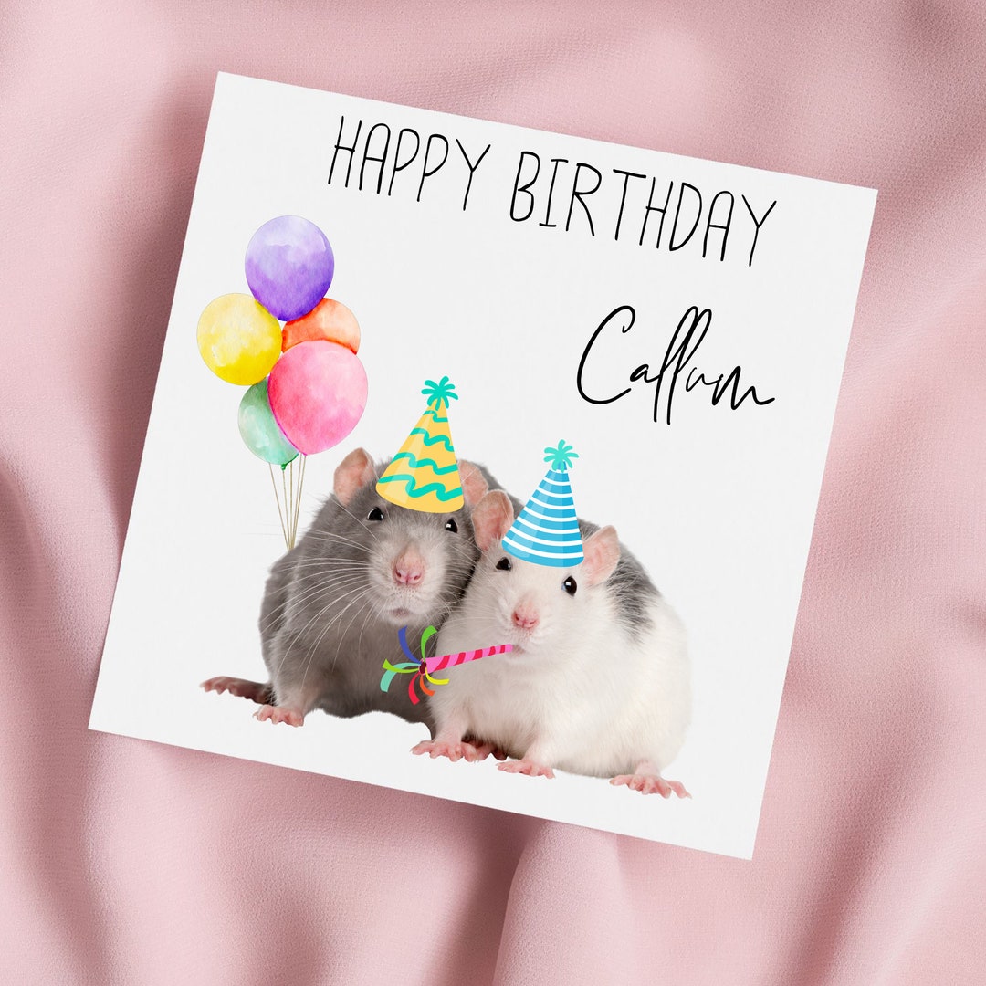 Birthday Card With Cute Rats And Party Hats Rats Greeting Card Rats