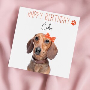 Birthday Card with Dachshund, Sausage Dog Greeting Card, Daxi Card, Special Birthday