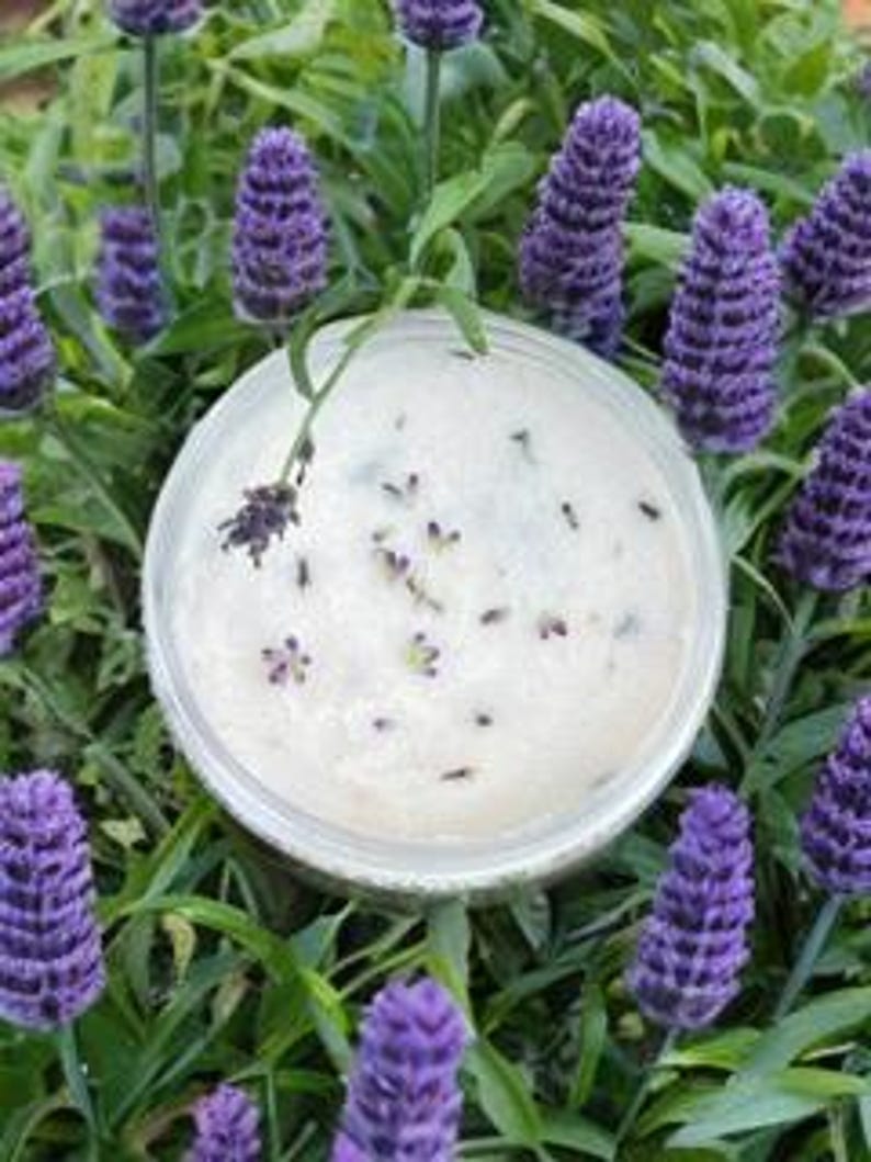 Peut inclure: Un bol blanc rempli d'une substance cr&eacute;meuse, peut-&ecirc;tre un pi&egrave;ge &agrave; insectes fait maison, avec de petits insectes pi&eacute;g&eacute;s &agrave; l'int&eacute;rieur. Le bol est entour&eacute; de fleurs violettes et d'herbe verte.