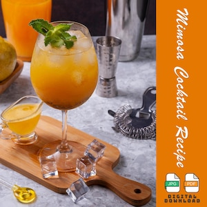 Citrus Sparkle Mimosa | Fresh Orange Juice, Bubbly Champagne, and Zesty Orange Slices!