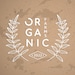 OrganicHubBoutique store logo