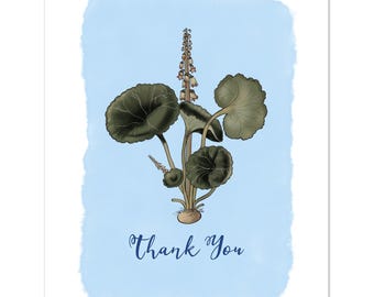 Lot de 10 cartes de remerciement, cartes de voeux botaniques, notes de remerciement florales vintage, papeterie Cottagecore, cartes intérieures vierges format A2