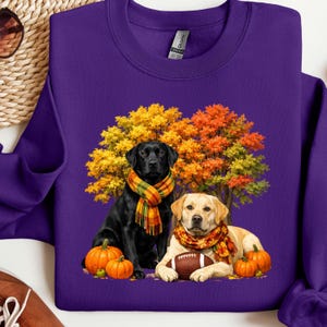 May include: A purple crewneck sweatshirt featuring a graphic of a black Labrador and a yellow Labrador wearing plaid scarves. The dogs are positioned in front of autumn trees with orange and yellow leaves, accompanied by three orange pumpkins.