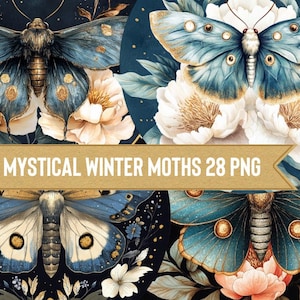 Aquarell Mystische Motte Clipart Bündel, Wicca png , Motte png, mystisches Clipart, Winter Clipart, Motte Clipart, Schmetterling Paket